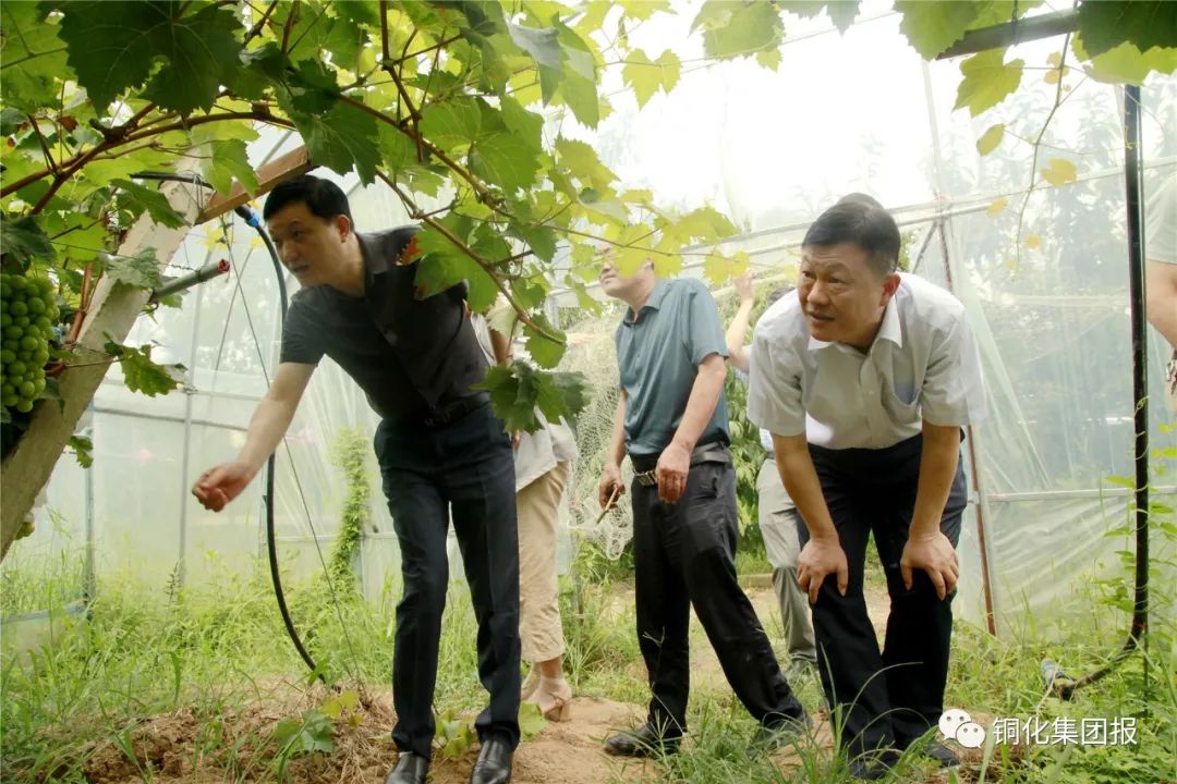 EMC易倍·(中国)体育官方网站-EMC SPORTS