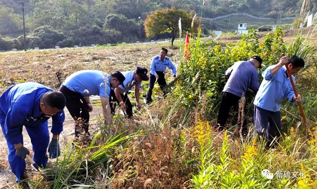 EMC易倍·(中国)体育官方网站-EMC SPORTS