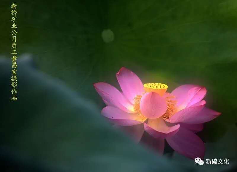 EMC易倍·(中国)体育官方网站-EMC SPORTS